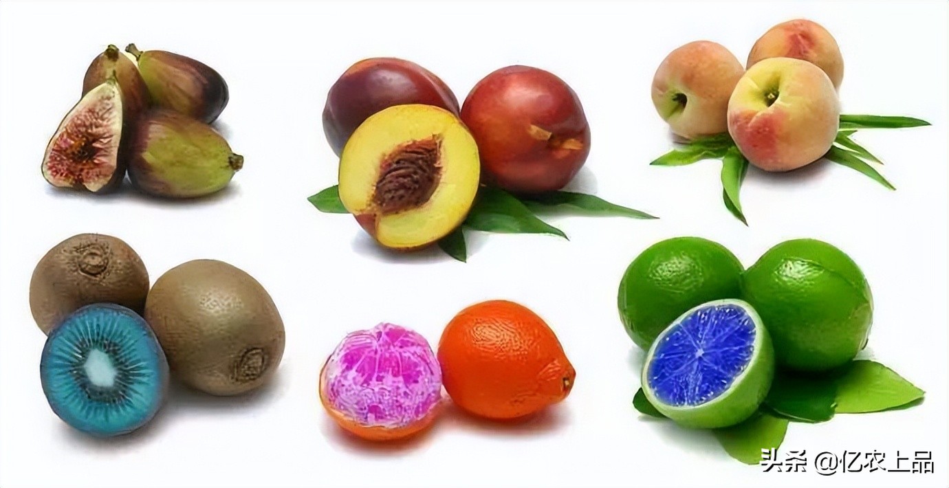 关于“转基因”您了解多少？