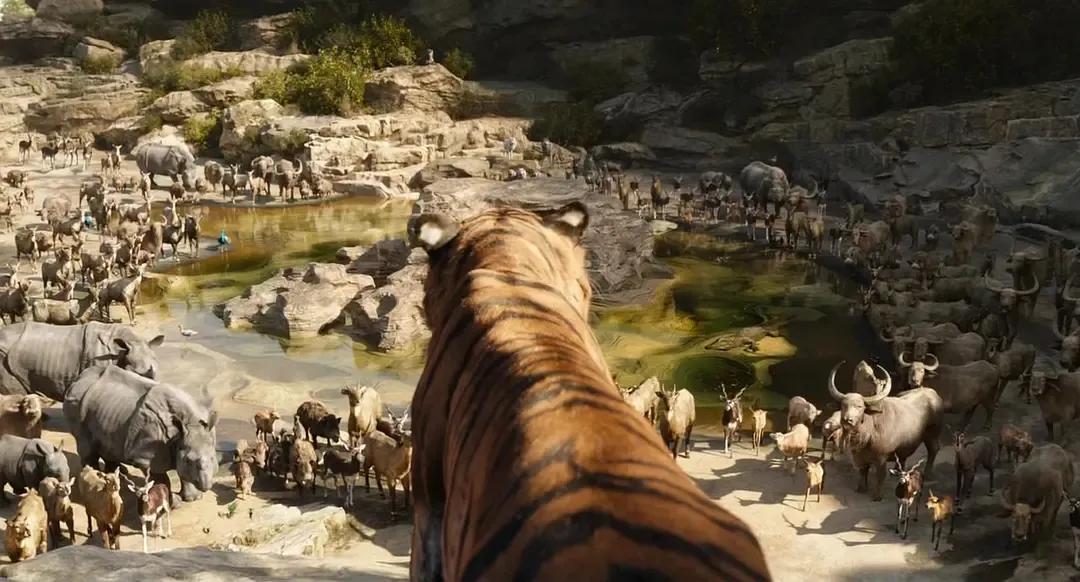 奇幻森林（电影）