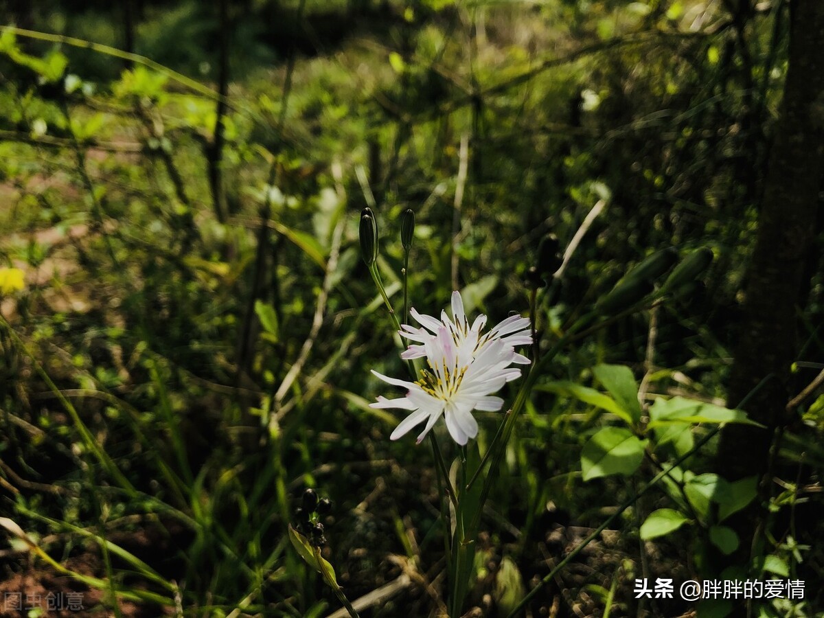 因为依赖，所以期望，因为期望所以失望，万般皆是命，半点不由人