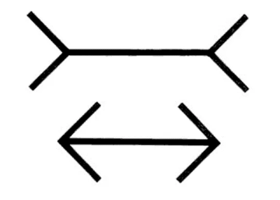 五花八门视错觉，研究它们有啥用？