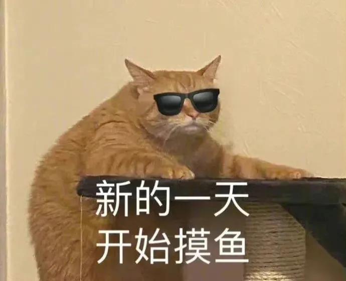 猫咪搞笑表情包