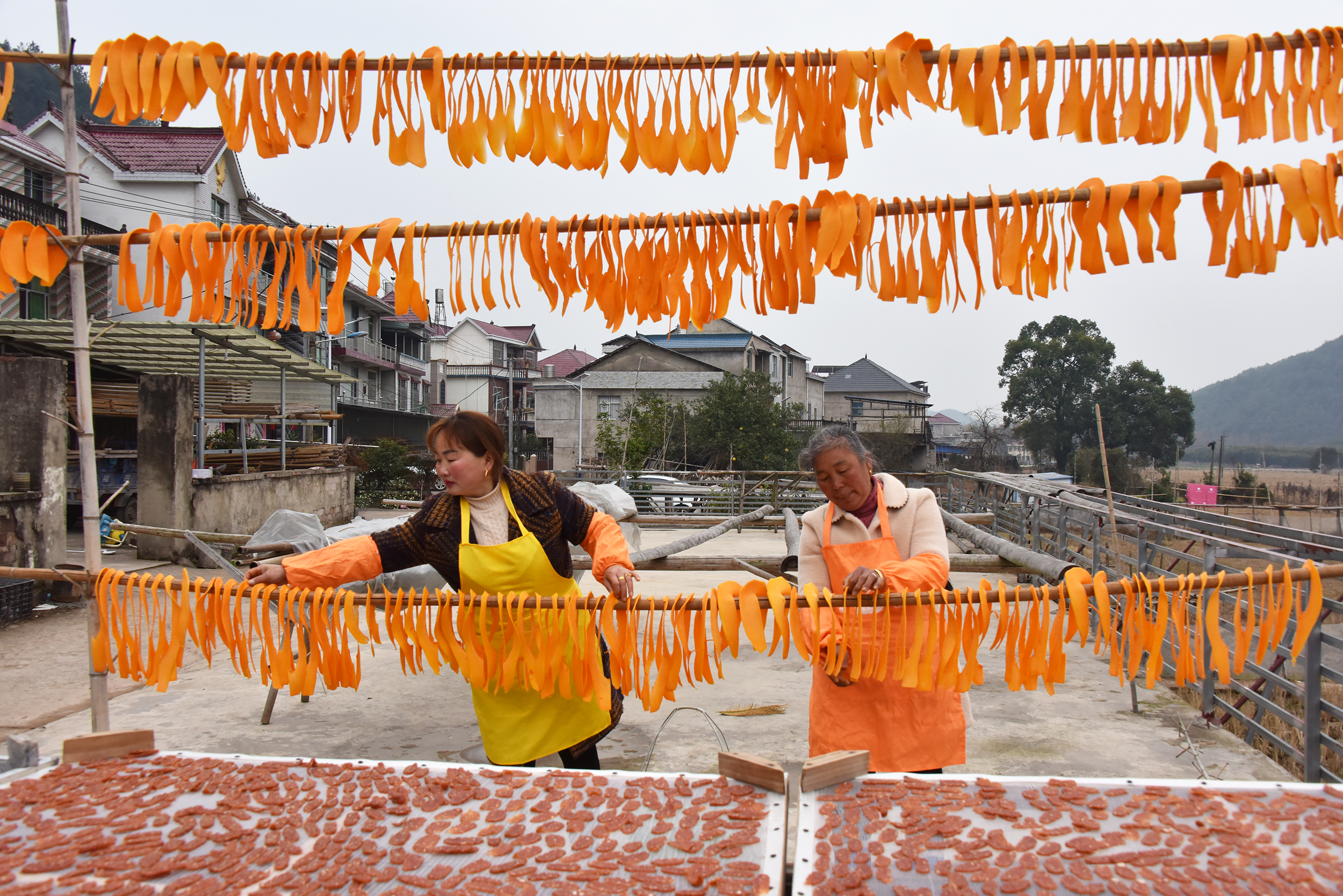 江西德兴：南瓜致富一村人
