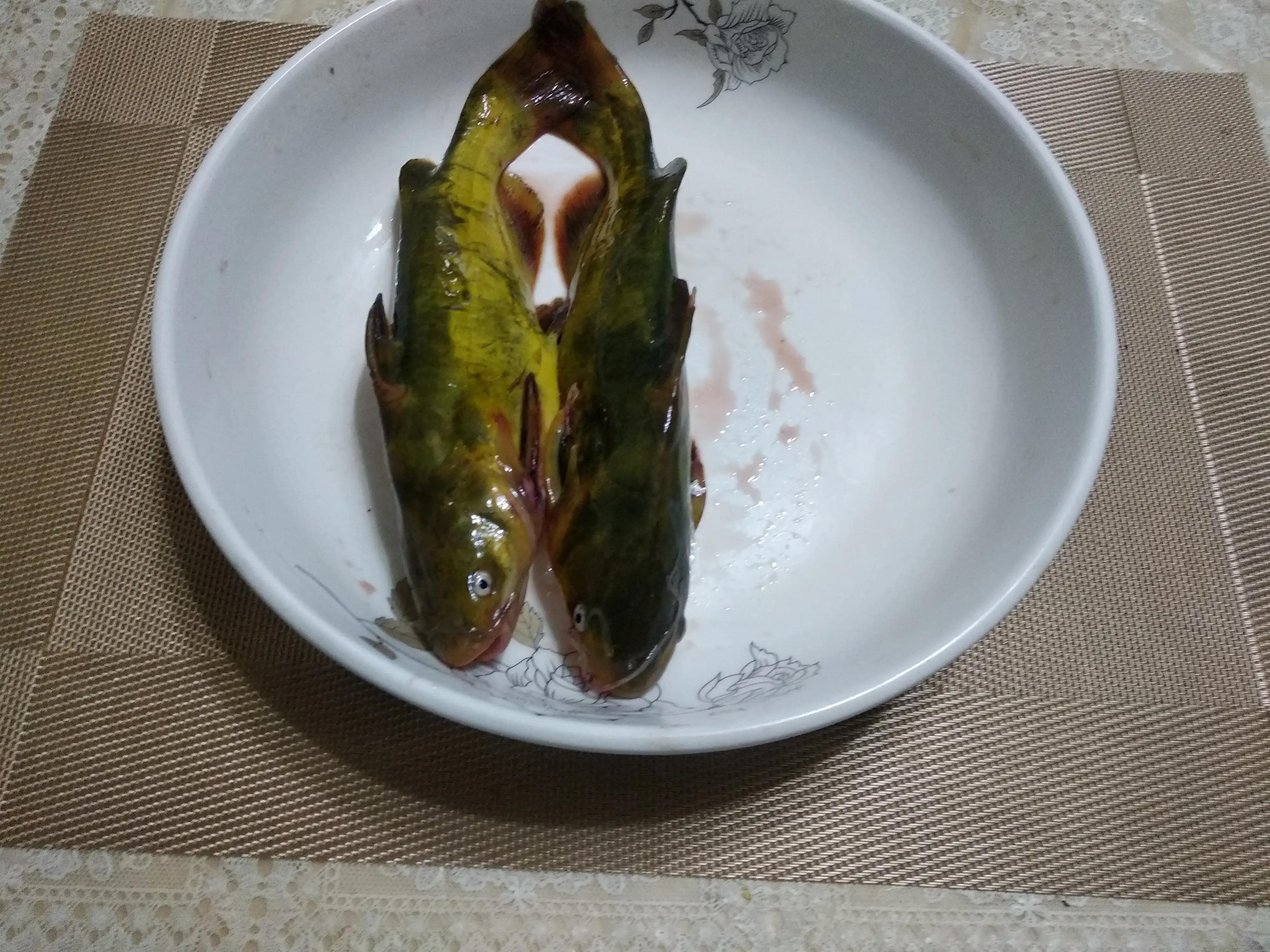 三道鳞鲤鱼多少钱一斤3种