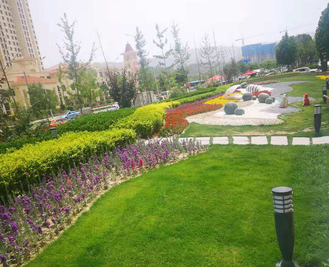 西固区林草局统筹疫情防控，抓好生态建设“三篇文章”