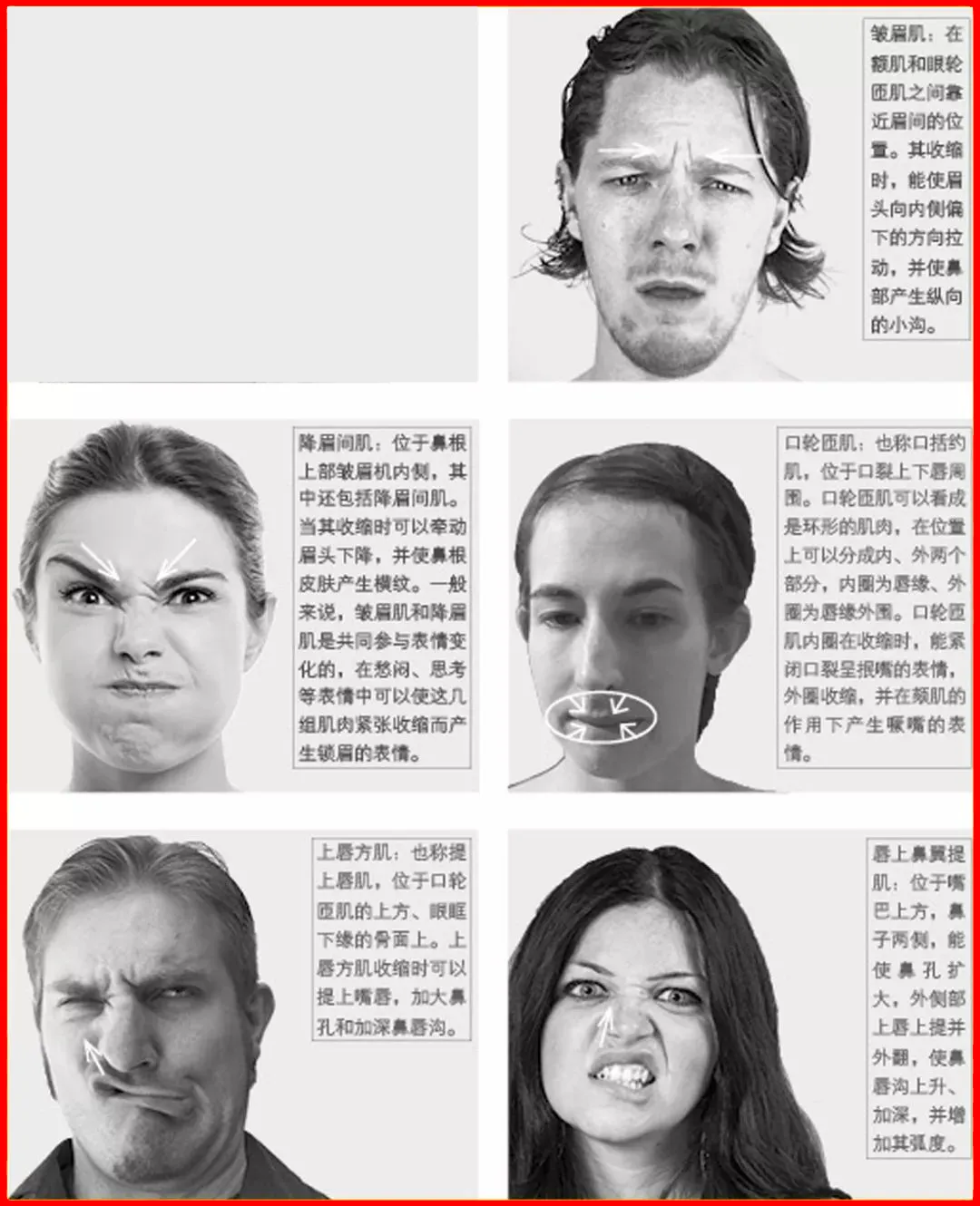“喜、怒、哀、乐”速写人物表情解析,太详细了