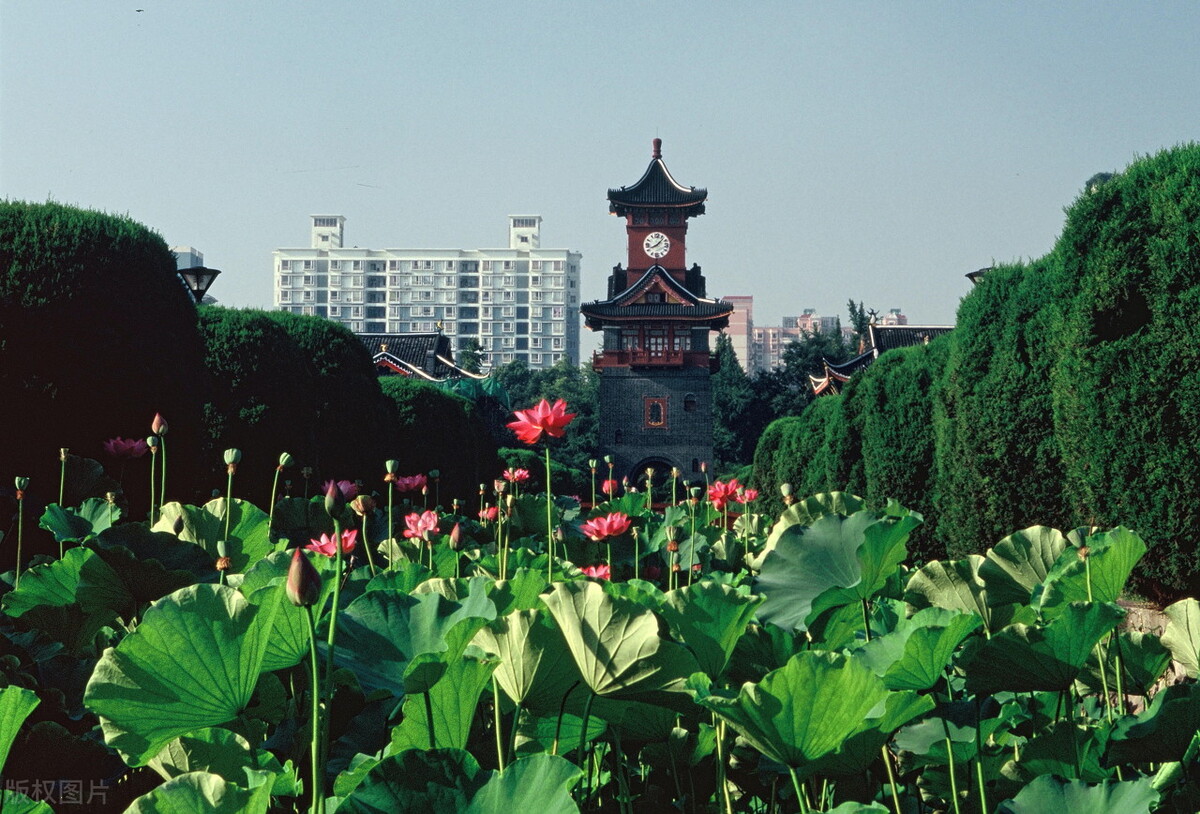 百万医学生流向社会，不能当医生的学生有什么好出路，总结5条