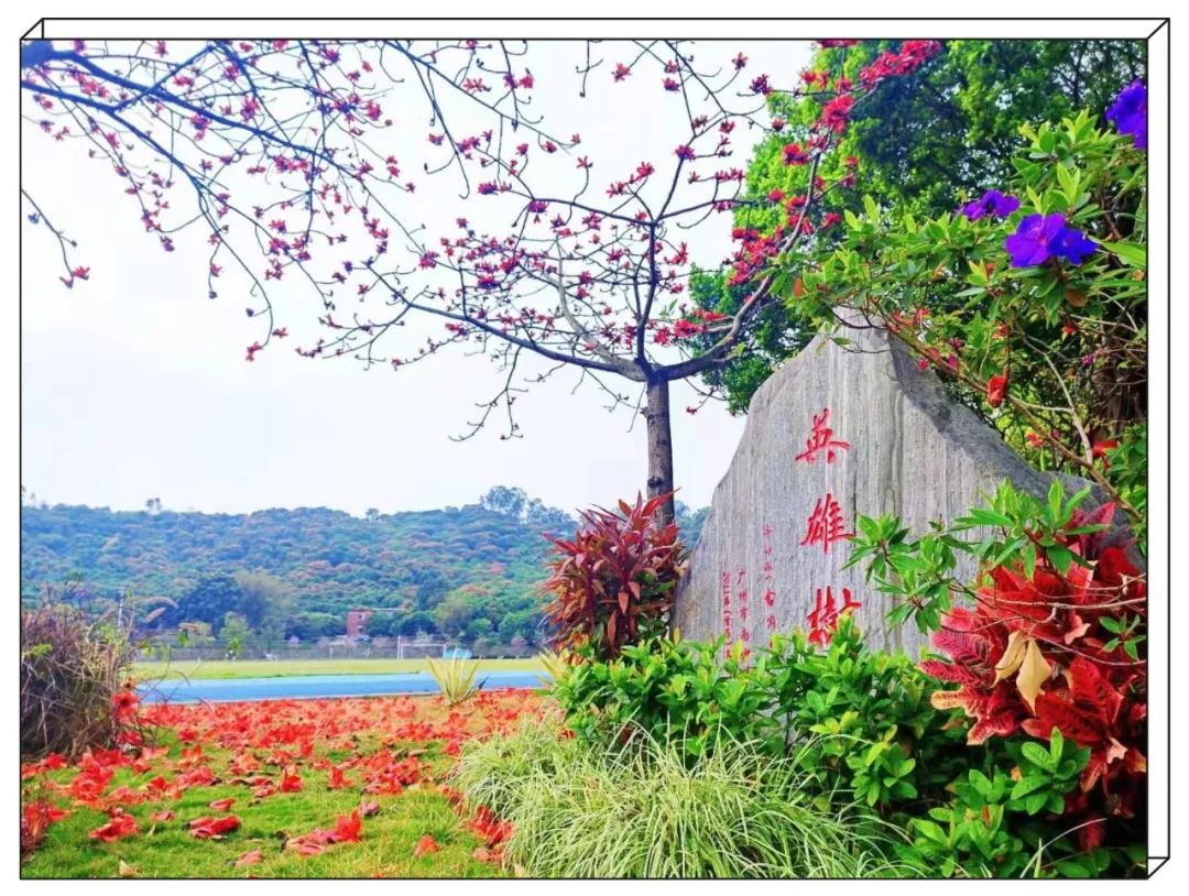 廣州市南沙第一中學(xué):未來已來 我們等你來(圖2) 廣州市南沙第一中學(xué):未來已來 我們等你來(圖2)