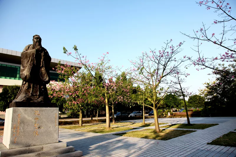 “医学热”又来了？学考想考医学专业，重点关注广东这12所院校