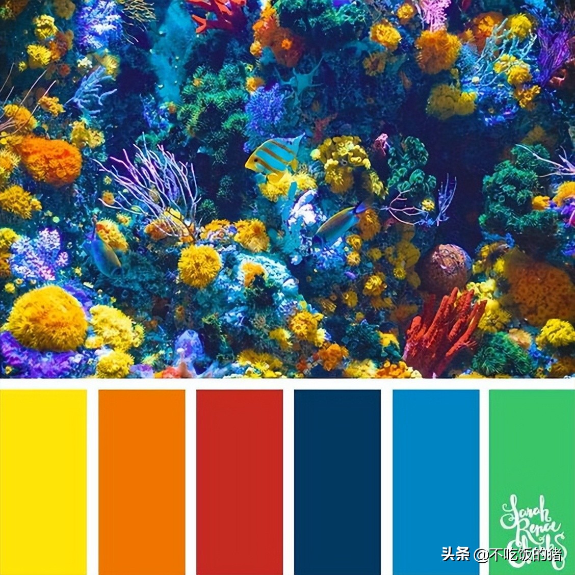 簡(jiǎn)單三步，搞定你的配色