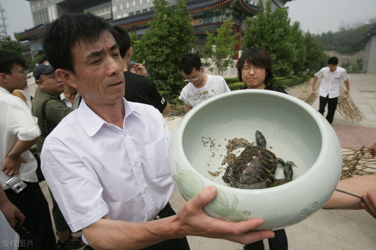 季羡林故居被盗案始末：秘书干女儿砸窗洗劫藏书，被捕后表情搞笑