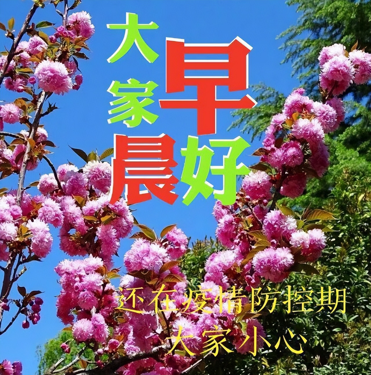 阳光周末早晨好图片动态大全，早安朋友，感谢一路有你陪伴图片