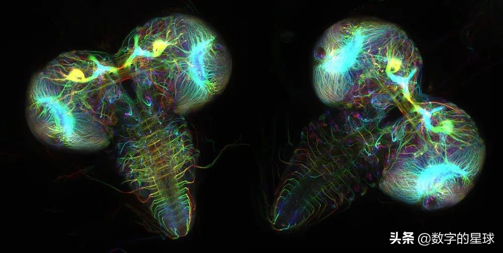 人工智能学会了如何做化学