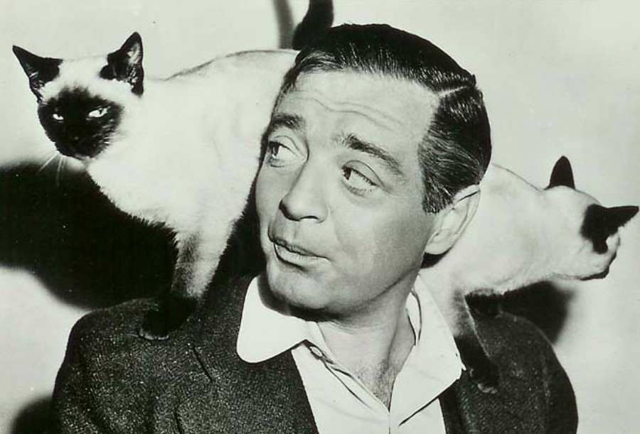 好莱坞大反派彼得·洛，他的坏人角色救了女儿一命