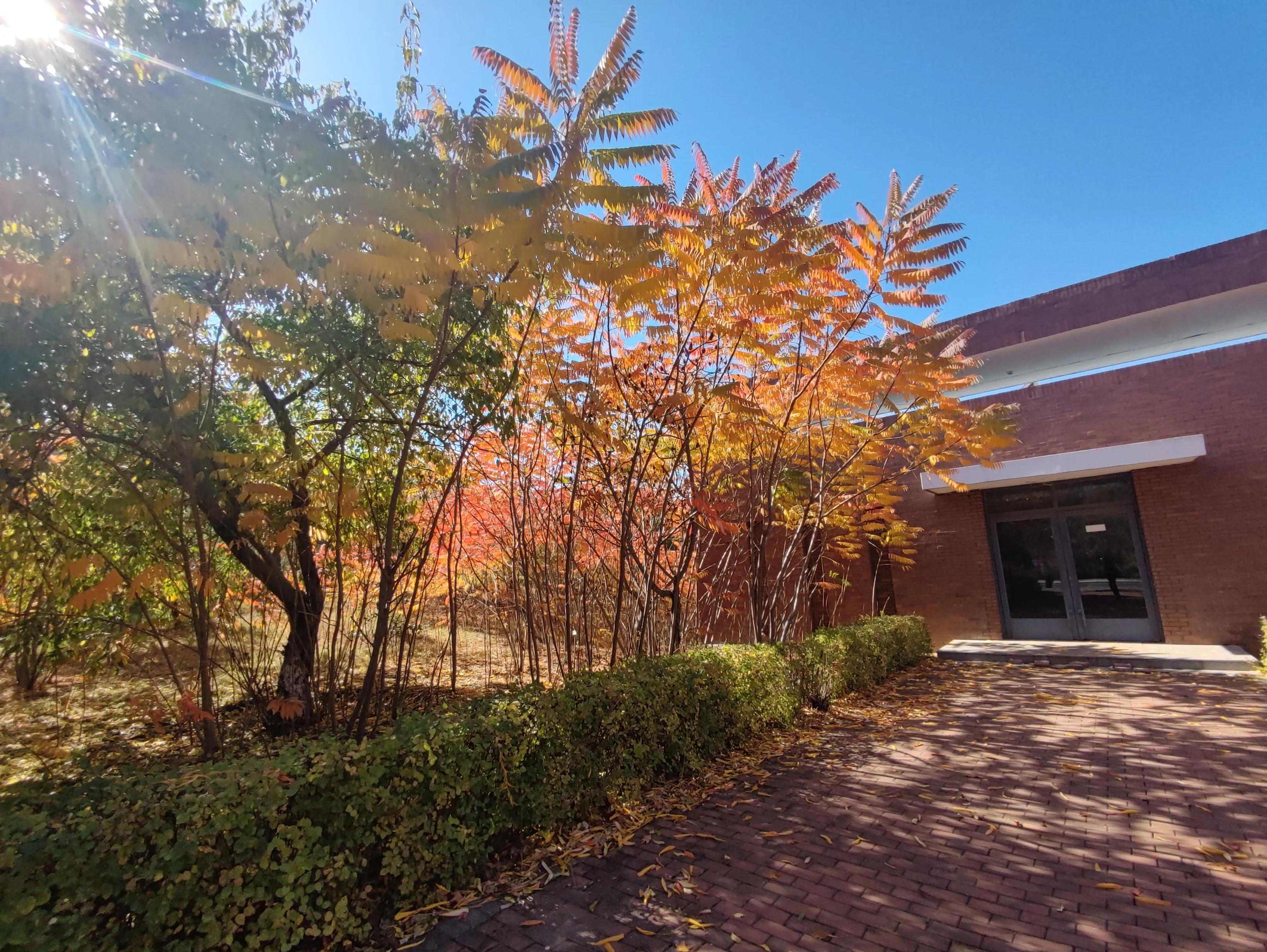 卡伦湖大学简介(二本大学推荐高考生来了之后都不想毕业)