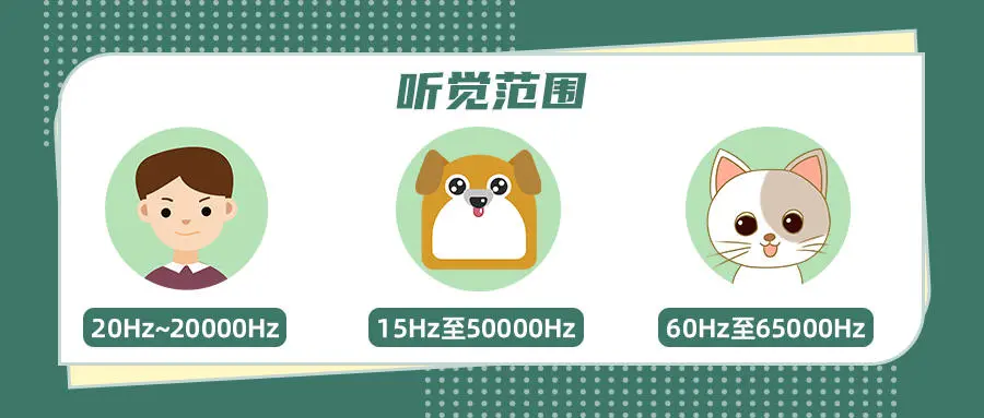 真人实测11款吹风机:近3000的贵价吹风机,到底值不值得买?