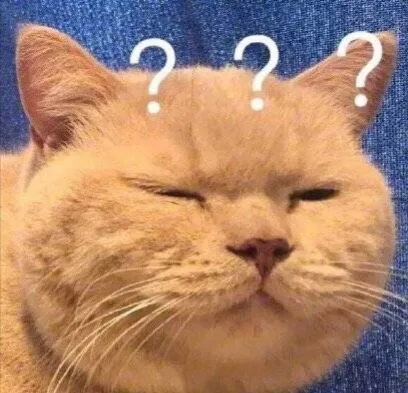 公立广州国际学校有哪些好的选择？