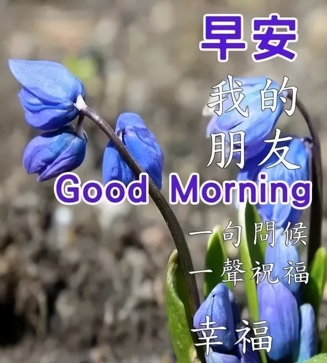 周日早上好祝福语问候图片动图最新 感恩每一位有缘人图片