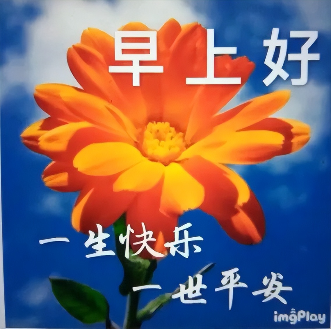 新周早上好祝福美图 周一早上好暖心句子 清晨一声早 身体健康心不老图片