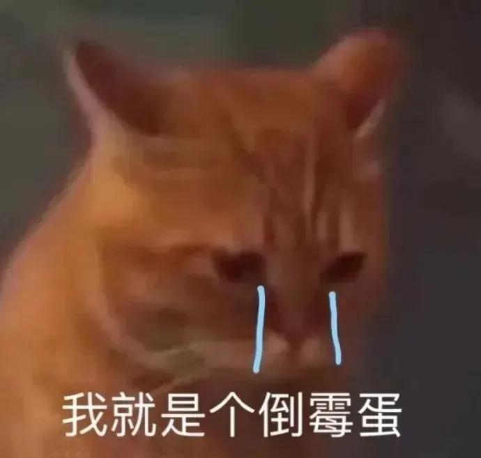 可爱表情包  我信你个鬼