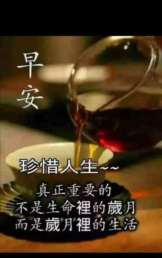 创意的早上好表情包动图祝福语 人之相交交于情，爱之相伴在于懂图片