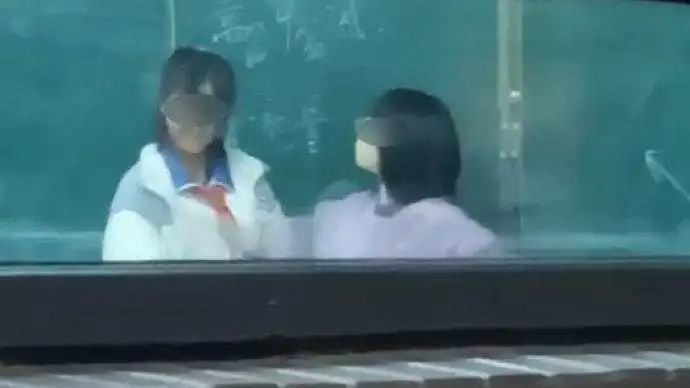 《亲爱的》原型孩子养母被采取强制措施 | 天津这项收费调整 | 一初中教师掌掴女生？当地回应