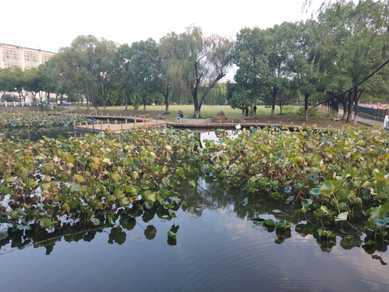 江苏这所“最美高校”火了！坐拥宫殿式建筑，建筑大师梁思成参与设计！