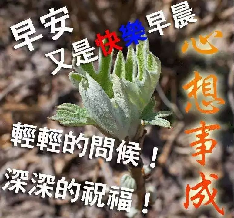 周末早上好，时时牵挂，天天问候，期盼病魔早远离，人民平安幸福来图片