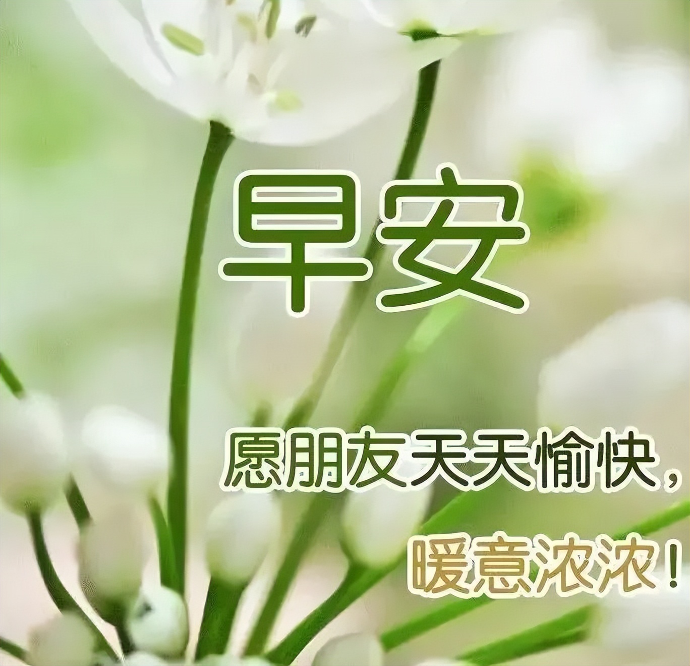 周末分享早上好表情包，轻轻祝福，平安健康伴随你，珍惜珍爱珍重图片