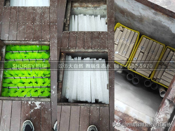 煦瑞生态水如何把拆除的旧池建造成标杆鱼池？鱼池过滤系统揭秘
