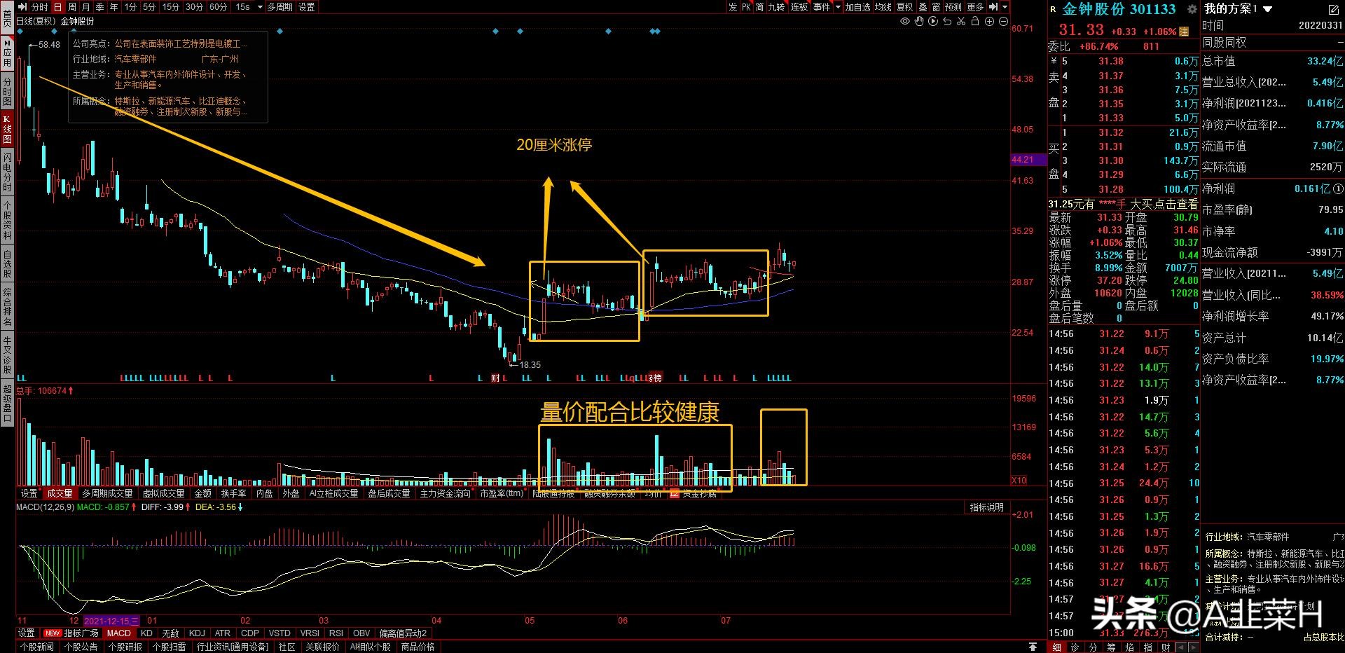 301133金钟股份，特斯拉、新能源汽车、比亚迪概念