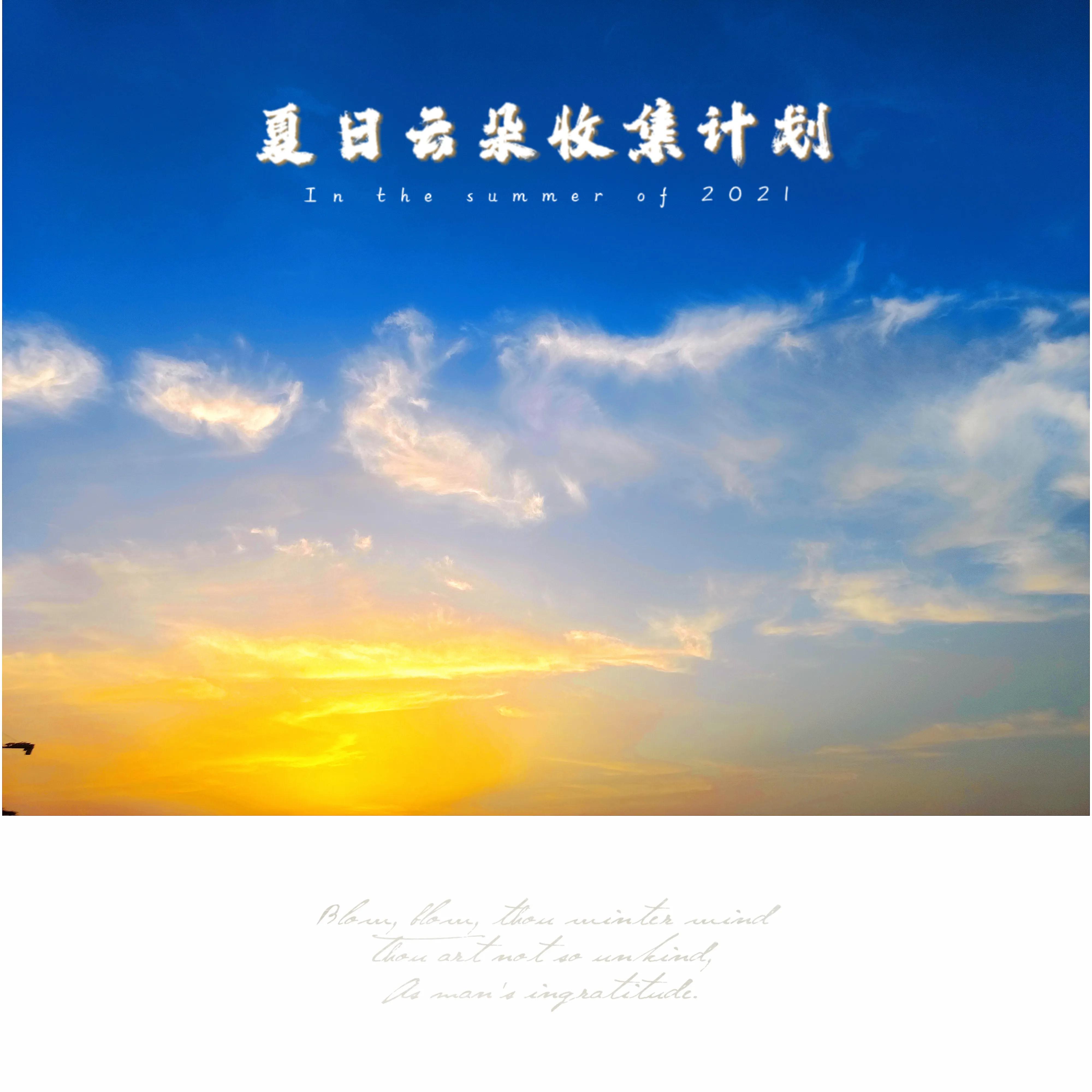 手写的句子，总有一句能触动你