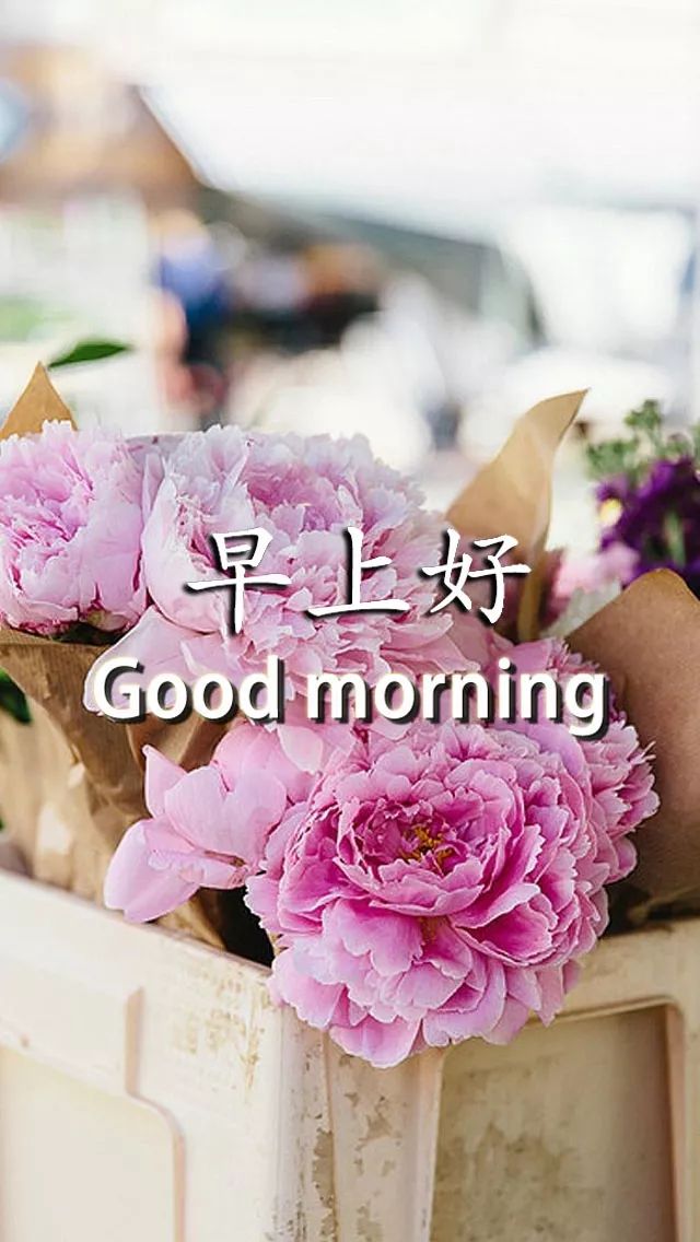 微信早上好说说 清晨走心的早上好问候 健康是人生最大的财富图片
