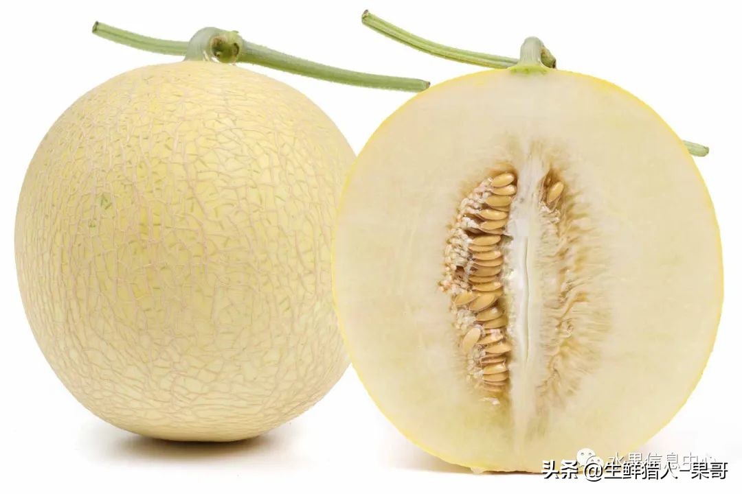 哈密瓜、蜜瓜、网纹瓜、香瓜、羊角蜜傻傻分不清？看完就明白了