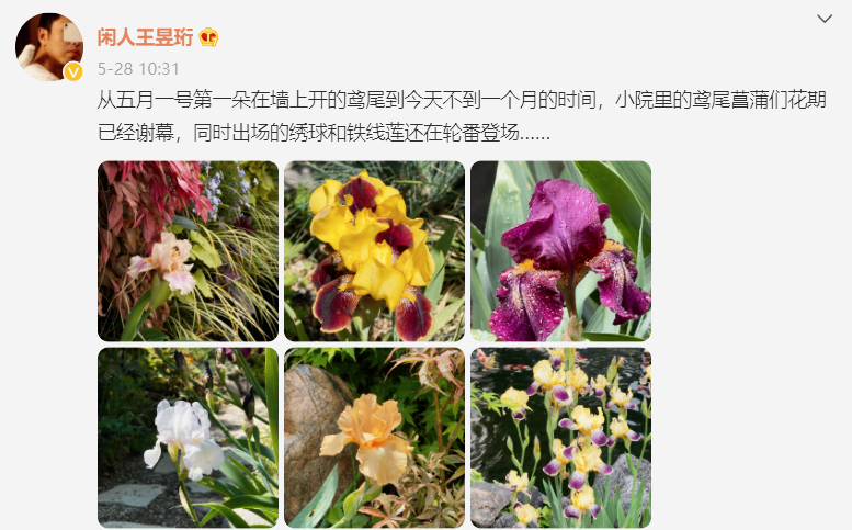 《最强大脑》6位选手现状：有人离婚，有人卖课捞金，有人归隐