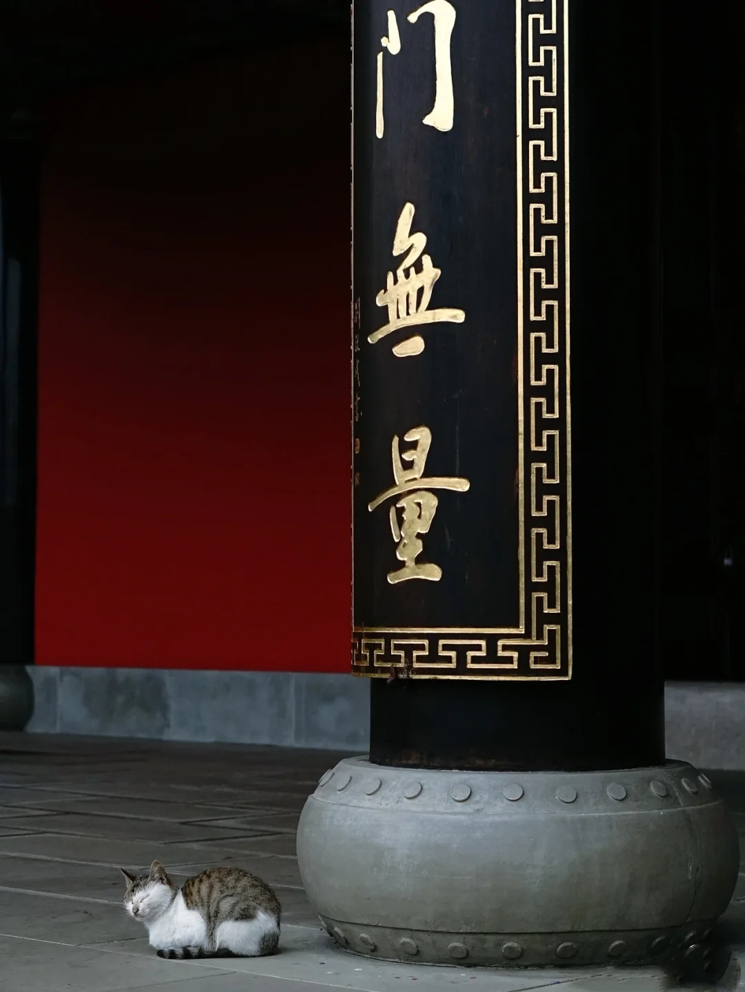 成都周边亲子游踏青地！打卡治愈系“世外桃源”，还有上百亩花海