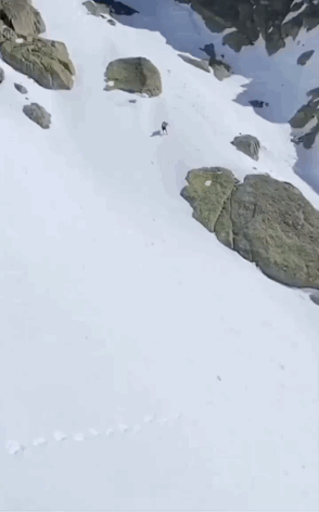 “白敬亭被曝儿女双全？？”粉丝笑疯：老公你快说句话啊