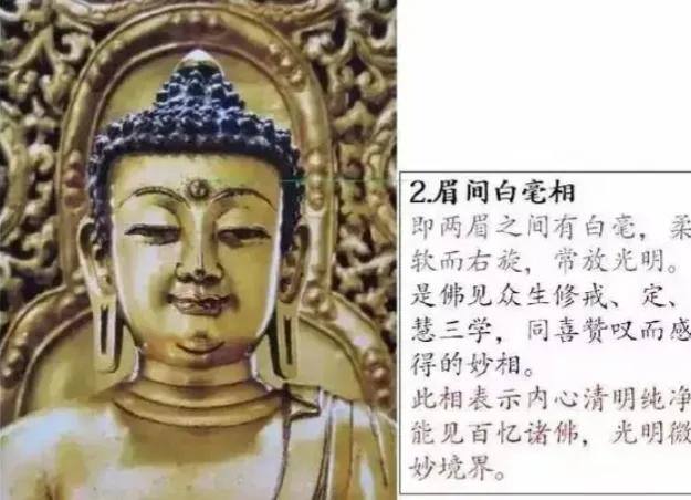 二,眉间白毫相顶上有肉,隆起如髻形之相.