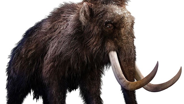 北大专业“六代单传”，一人请假全院休息，毕业合影只有1名学生