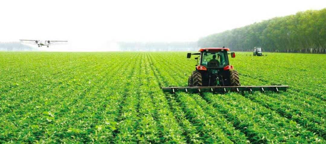 互联网的尽头是养猪？互联网的大佬们，为何纷纷进军养猪业