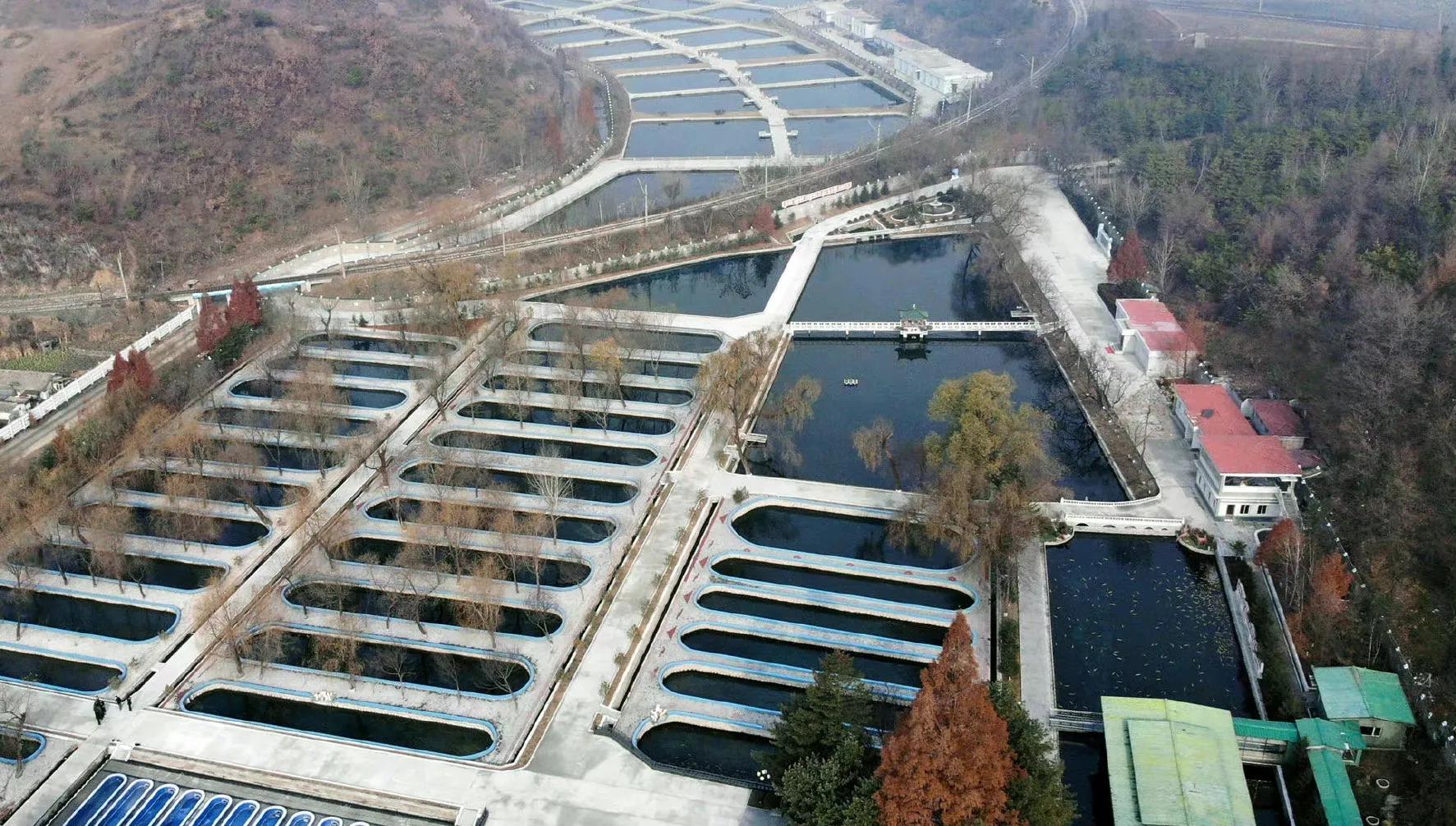 朝鮮大力開展養(yǎng)魚 豐富軍民飯碗