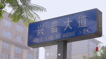 喜报 | 春风十里，请一起温柔地走进“最美街道”~