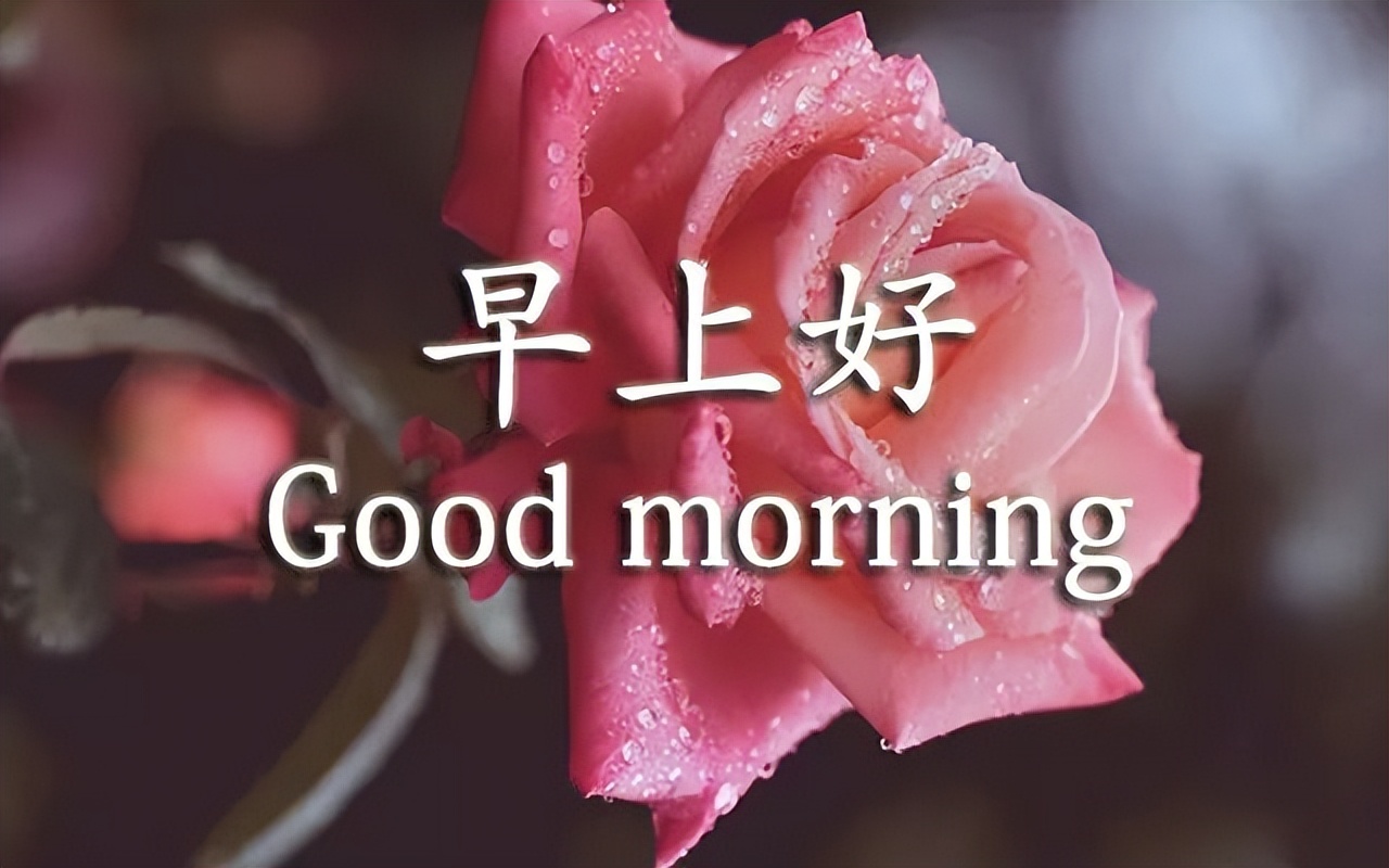 周末最新早上好表情包，清晨的问候，牵挂的你，感恩有你图片