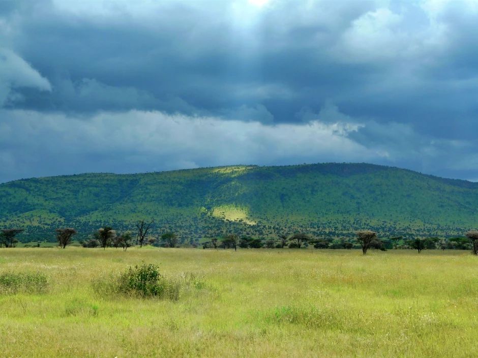 世界百大景观之坦桑尼亚的塞伦盖蒂公园(图片)