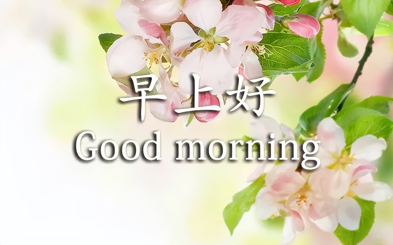 早上好的问候语图片 早上好表情包 走该走的路，不退缩，不动摇图片