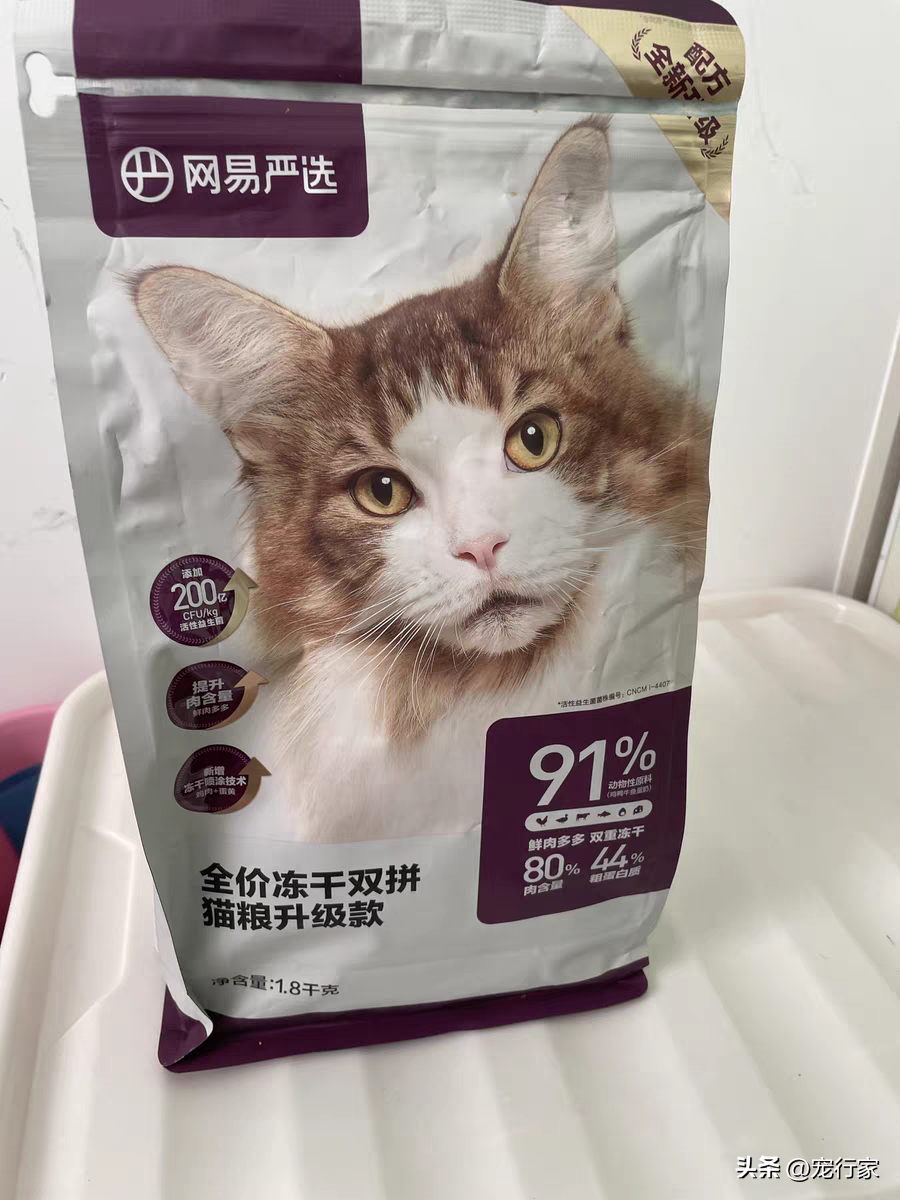 猫粮应该怎么选(猫粮怎么选？花一分钟教会你)