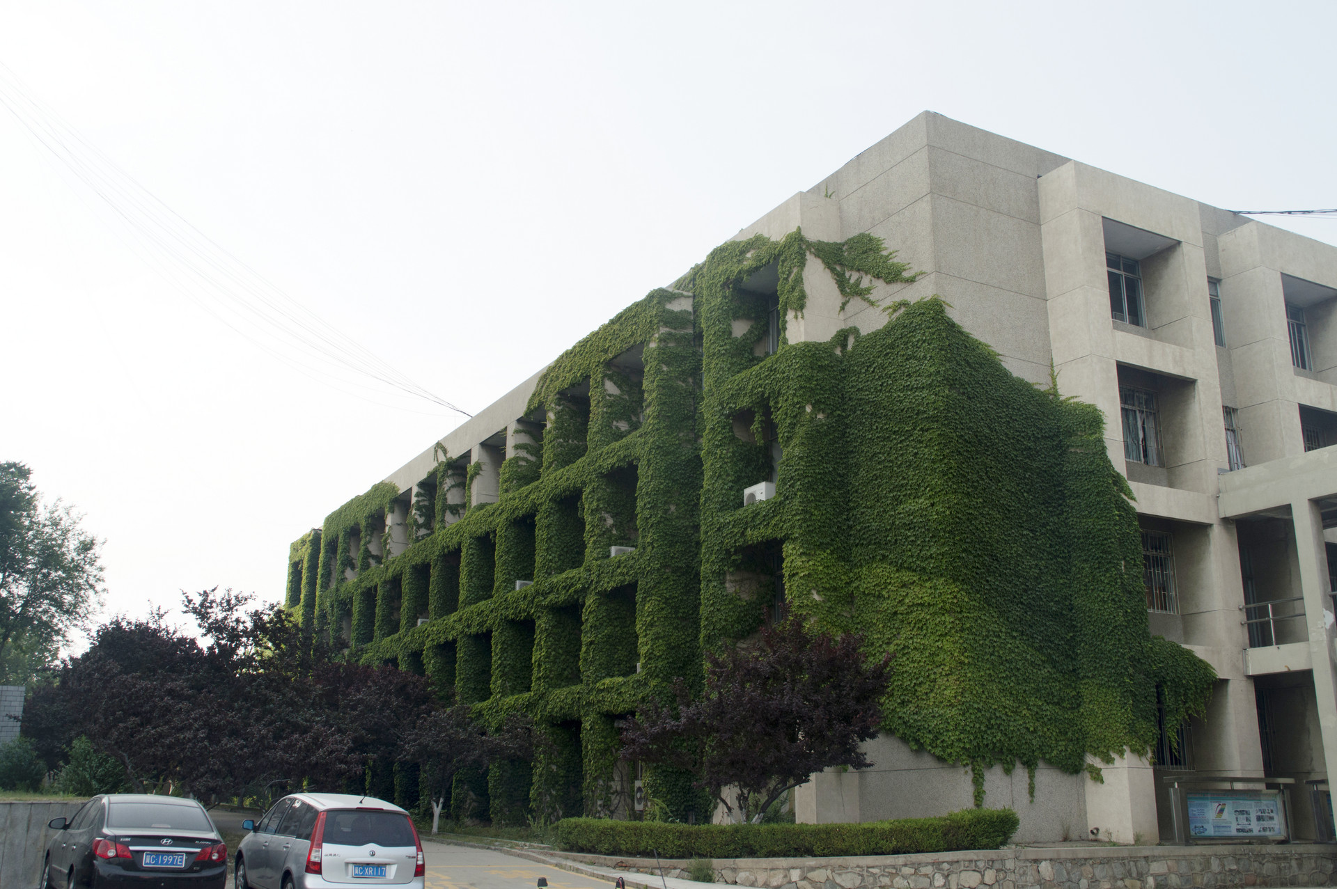 大学更名面面观，三类成功，两类失败，一类被人误会