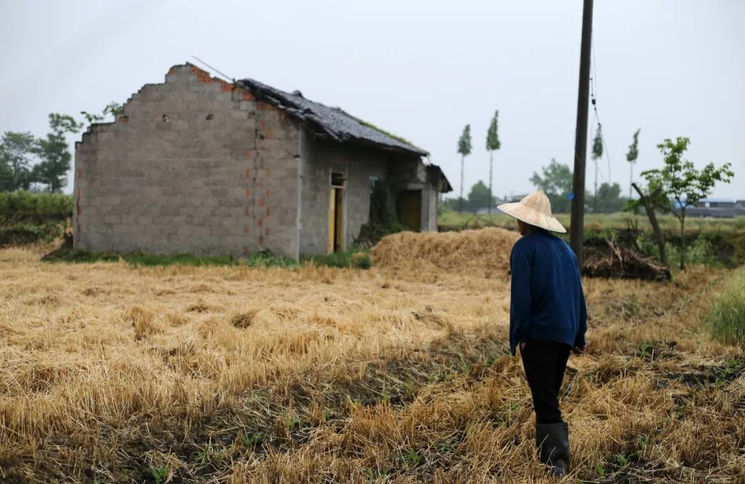 14年前背亡妻回家感动国人,半年后闪婚的吴加芳,如今不再期待爱情