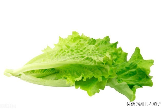 春季养生：维生素E丰富食物TOP榜，6种蔬菜3种水果助你健康过春