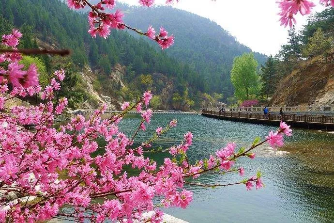 人间四月芳菲尽学习正当时(忽闻人间四月芳菲尽有感)