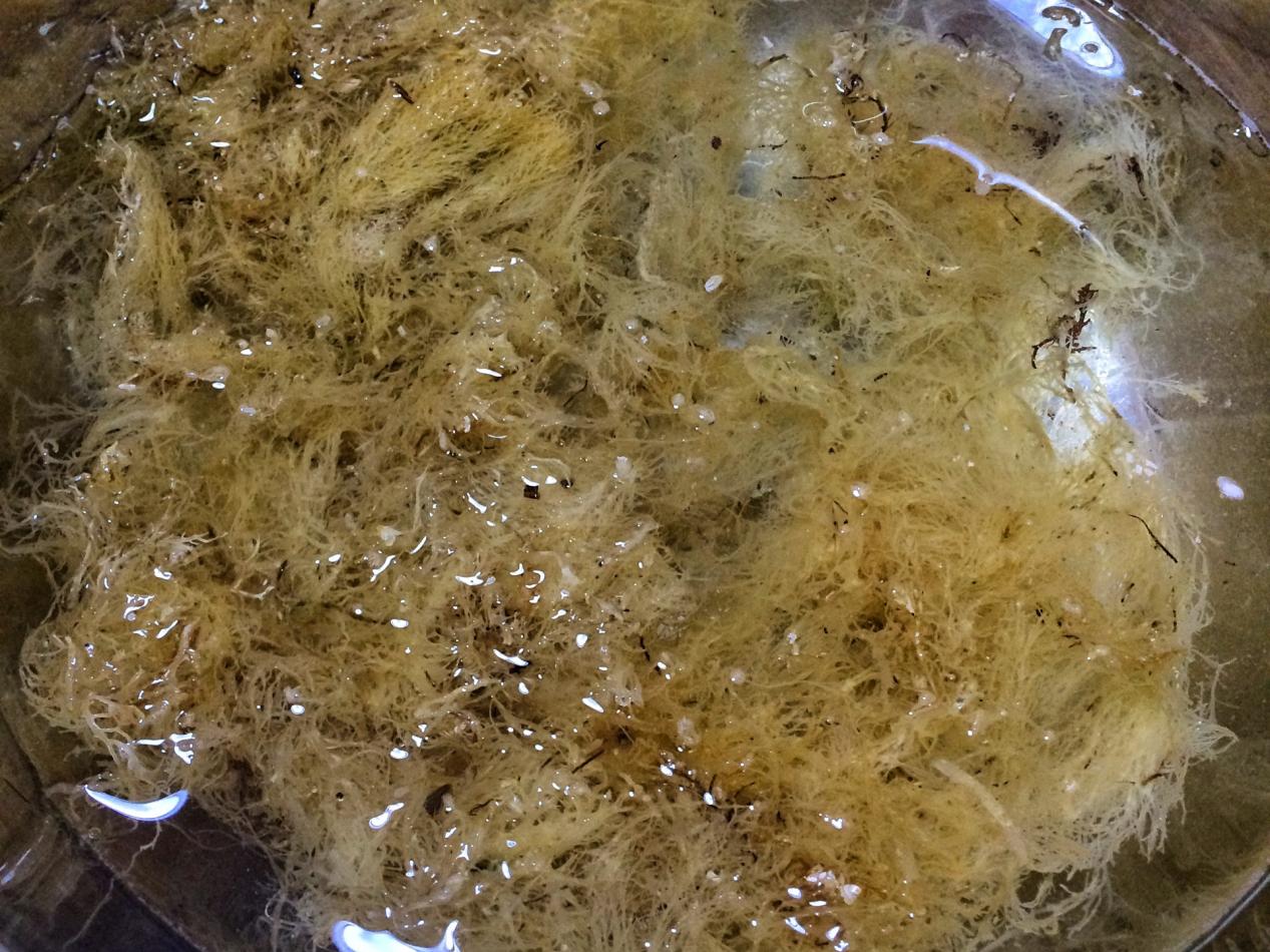 海石花的做法（海石花这样做清甜滋补女人要常吃）